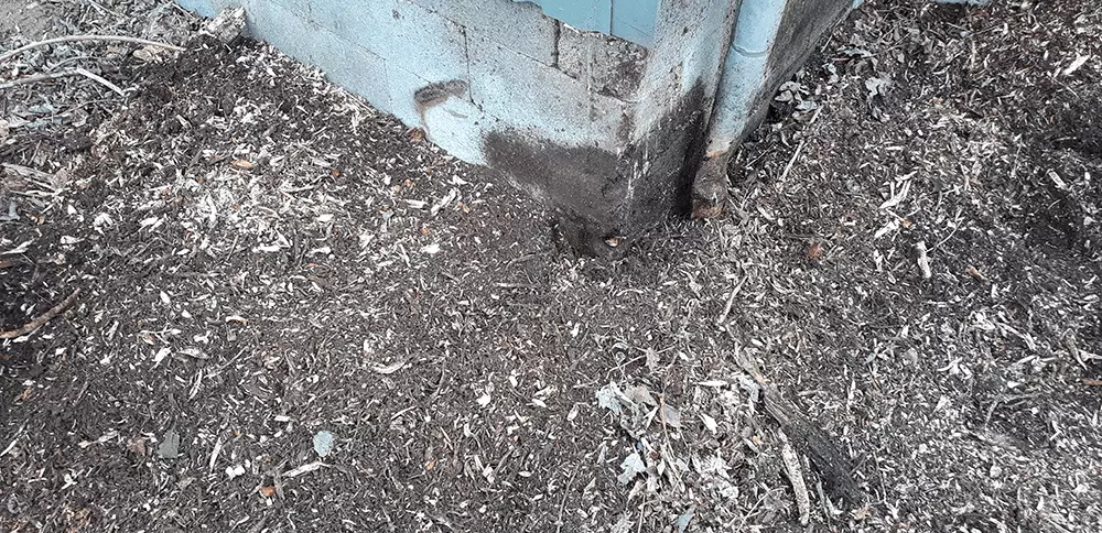 Stubfraesing gudbjerg2 web